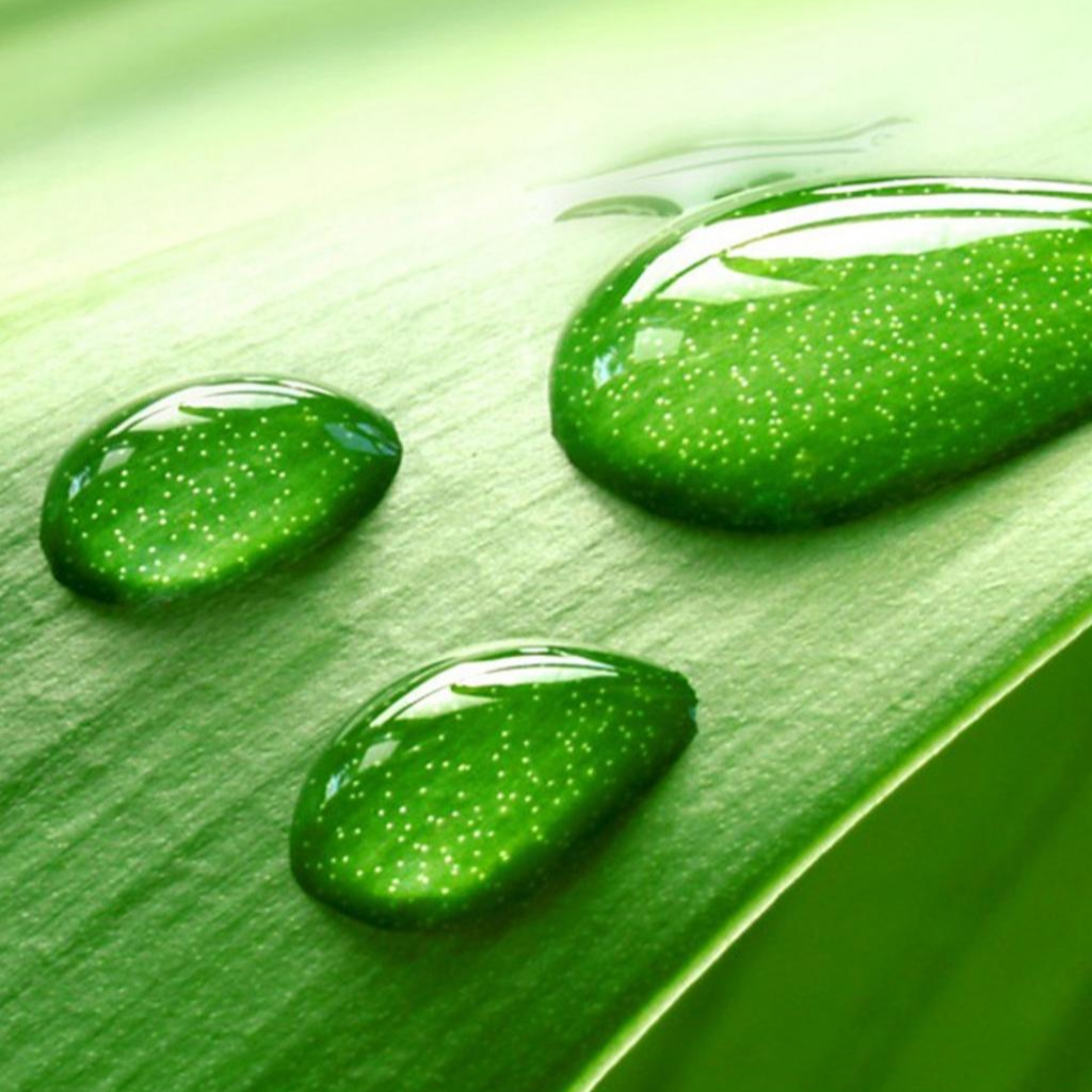 点！点！点！点出你的灵感与激情，点出你的未来与人生！